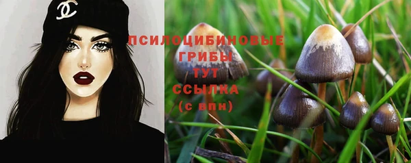 герыч Карпинск