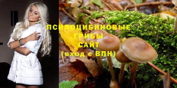 герыч Карпинск