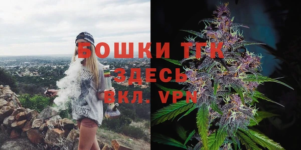 МДПВ Касимов